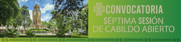 CONVOCATORIA SÉPTIMA SESIÓN DE CABI